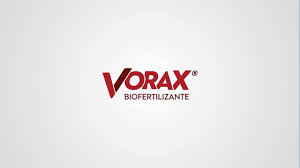 Vorax 